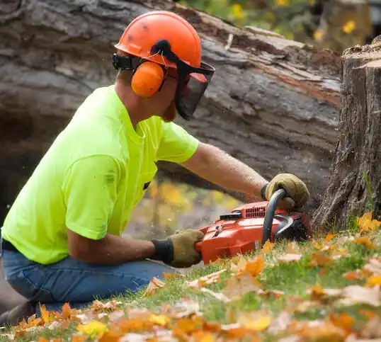 tree services Mathews